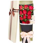 听见幸福(礼盒)