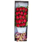 爱在咫尺（礼盒）